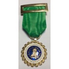 Medalla Sufrimiento Por la Patria Distintivo Verde