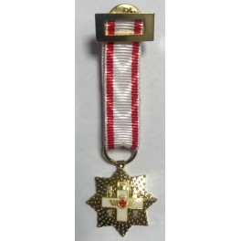 Medalla Placa miniatura Merito Aeronáutico