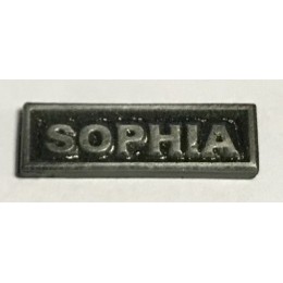 Barra plata Sophia para pasador de diario 
