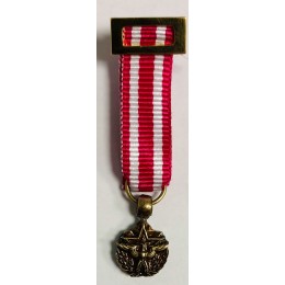 Medalla miniatura por Servicio Meritorio EE.UU (Cinta 1cm)