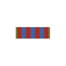Armazón Condecoración Medalla Conmemorativa Francia