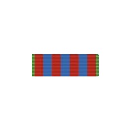 Pasador de Condecoración Medalla Conmemorativa Francia