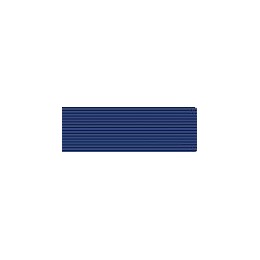 Armazón Condecoración Medalla al Merito de la Protección Civil distitnivo azul