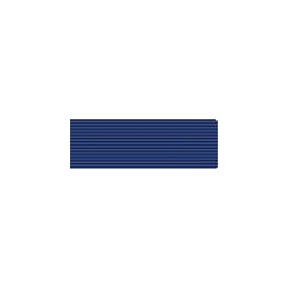 Pasador de Condecoración Medalla al Merito de la Protección Civil distitnivo azul