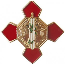Pin Cruz Merito Policial Distintivo Rojo
