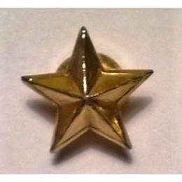 Estrella 5 puntas (Estado Mayor) Unidad 