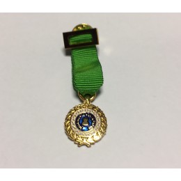 Medalla miniatura Sufrimiento por la Patria Verde
