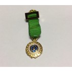 Medalla miniatura Sufrimiento por la Patria Verde