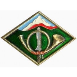 Distintivo de escuela militar de montaña 