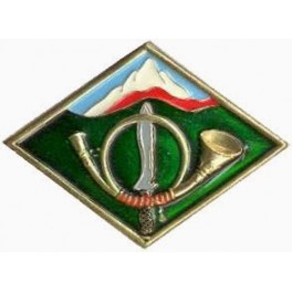 Distintivo de escuela militar de montaña 