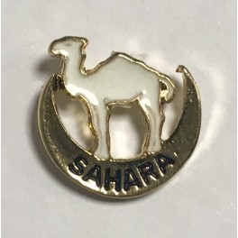 Pin pequeño SAHARA