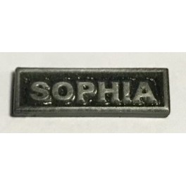 Barra SOPHIA para pasador de diario plata