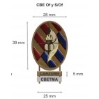 Distintivo del Curso Básico de Emergencia de la FAS para Of y S/Of