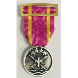 Medalla de Servicio Eurofor 