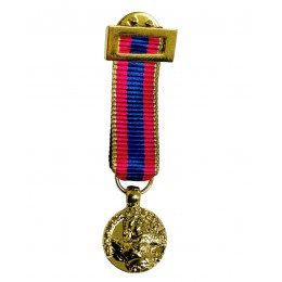 Medalla Miniatura de Oro de la Defensa Nacional (Francia)
