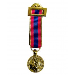 Medalla Miniatura de Oro de la Defensa Nacional (Francia)