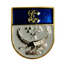 Distintivo de Permanencia T.E.B.Y.L -N.R.B.Q  Guardia Civil 