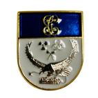 Distintivo de Permanencia T.E.B.Y.L -N.R.B.Q  Guardia Civil 