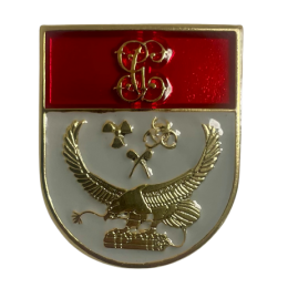 Distintivo de Título T.E.D.A.X -N.R.B.Q  Guardia Civil