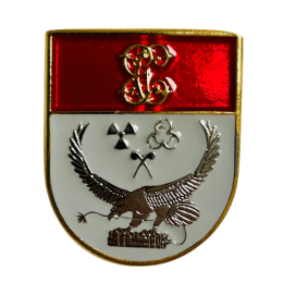 Distintivo de Titulo T.E.B.Y.L -N.R.B.Q  Guardia Civil 
