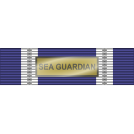 Pasador de Condecoración Medalla de la Otan (SEA GUARDIAN)