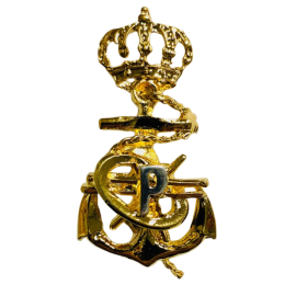 Distintivo de Programador de sistemas de la Armada