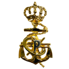 Distintivo de Programador de sistemas de la Armada